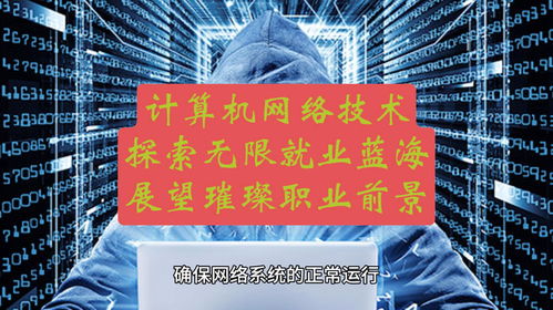 計算機網絡技術 探索無限就業藍海，展望璀璨職業前景